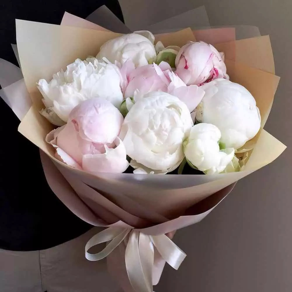 7 peonies